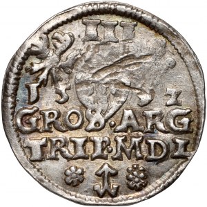 Zikmund III Vasa, trojak 1592, Vilnius