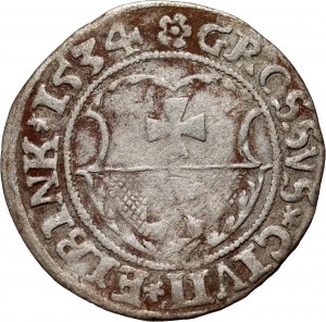 Zikmund I. Starý, groš 1534, Elbląg