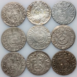 Sigismund III vasa, set of half-tracks from 1620-1623 (9 pieces)