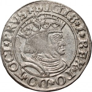 Žigmund I. Starý, penny 1531, Toruň