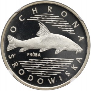 Poľská ľudová republika, 100 zlotých 1977, Ochrana životného prostredia - Barbel, vzorka, striebro