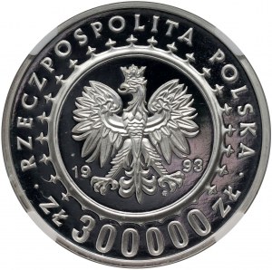 III RP, 300000 złotych 1993, Zamek w Łańcucie