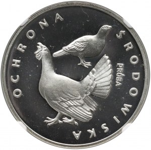 Polská lidová republika, 100 zlotých 1980, Ochrana životního prostředí - tetřev, vzorek, stříbro