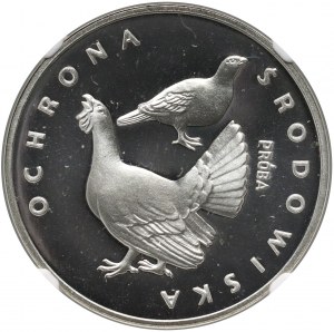 Volksrepublik Polen, 100 Zloty 1980, Umweltschutz - Raufußhuhn, Muster, Silber