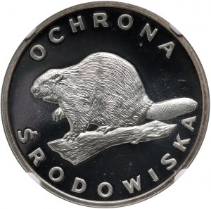 PRL, 100 zlotých 1978, Bobr