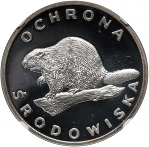 PRL, 100 zloty 1978, Castor