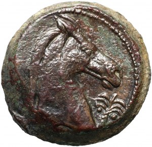 Karthago, Sardinien, 300-264 v. Chr., Bronze