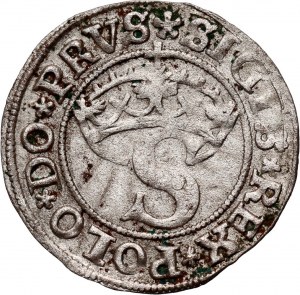 Zygmunt I the Old, 1531 shekel, Torun