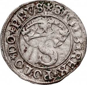 Žigmund I. Starý, šiling 1531, Toruň
