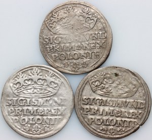 Sigismund I the Old, a set of pennies from 1528-1529 (3 pieces)