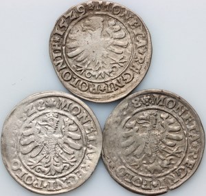 Žigmund I. Starý, sada grošov z rokov 1528-1529 (3 kusy)