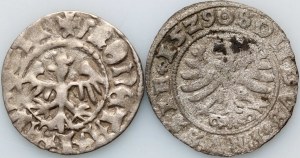 Jan Olbracht 1492-1501, mezzo penny senza data, Sigismondo I il Vecchio, gommalacca 1529, Toruń