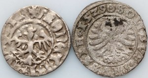 Jan Olbracht 1492-1501, demi-penny sans date, Sigismond Ier le Vieux, gomme-laque 1529, Toruń
