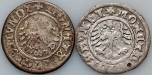 Zikmund I. Starý, sada půlpencí z let 1501-1510 (2 kusy)