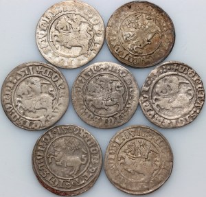 Sigismund I the Old, set of half-pennies dated 1509-1512, Vilnius (7 pieces)
