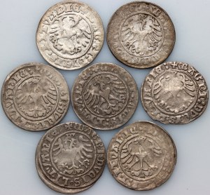 Sigismond Ier le Vieux, série de demi-pennies datés de 1509-1512, Vilnius (7 pièces)