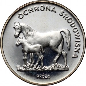 PRL, 100 złotych 1981, Konie, PRÓBA