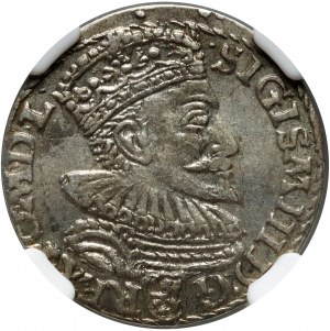 Sigismondo III Vasa, trojak 1594, Malbork