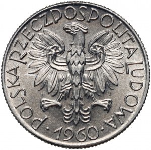 PRL, 5 złotych 1960, Rybak, Warszawa