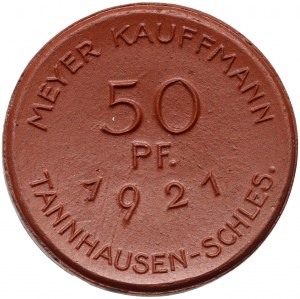 Jedlina Zdrój (Tannhausen), 50 Fenig 1921, Porzellan