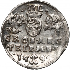 Zikmund III Vasa, trojak 1594, Vilnius