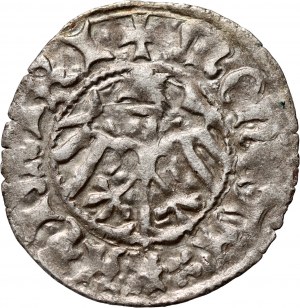 Kazimierz IV Jagiellonian 1446-1492, half-penny without date, Cracow