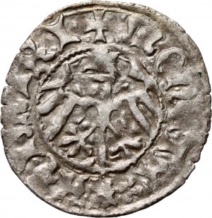 Kazimierz IV Jagiellończyk 1446-1492, demi-penny sans date, Cracovie