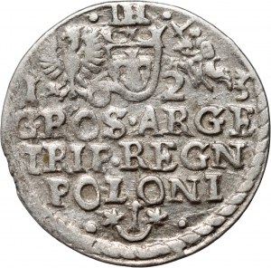 Sigismond III Vasa, trojak 1623, Cracovie