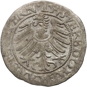 Slezsko, Legnicko-brzeské knížectví, Fridrich II., penny 1543, Brzeg
