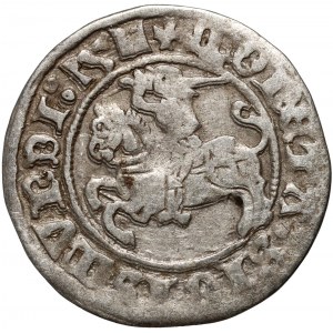 Sigismund I. der Alte, litauischer Halbpfennig 1511, Vilnius