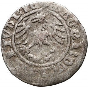 Sigismondo I il Vecchio, mezzo penny lituano 1513, Vilnius - data completa - raro!