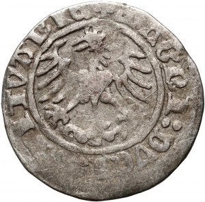 Sigismund I the Old, Lithuanian halfgross 1513, Vilnius