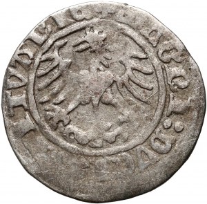 Sigismond Ier le Vieux, demi-penny lituanien 1513, Vilnius - date complète - rare !