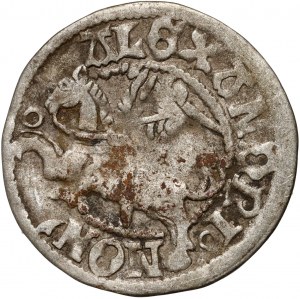 Aleksander Jagiellończyk 1501-1506, half-groschen without date, Vilnius