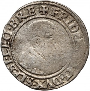 Slezsko, Legnicko-brzeské knížectví, Fridrich II., penny 1542, Brzeg