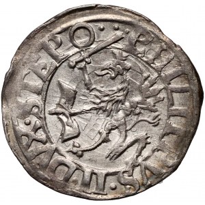 Pomorze, Filip II, grosz (1/24 talara) 1616, Szczecin