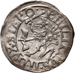 Pommern, Philipp II., Pfennig (1/24 Taler) 1616, Stettin