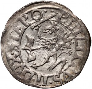 Pomořansko, Filip II, haléř (1/24 tolaru) 1616, Štětín
