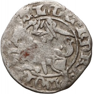 Alessandro Jagellone 1501-1506, mezzo penny senza data, Vilnius