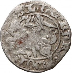 Alexander Jagiellonian 1501-1506, halber Pfennig ohne Datum, Vilnius