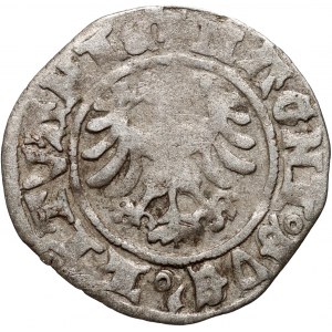 Alexandre Jagellon 1501-1506, demi-penny sans date, Vilnius