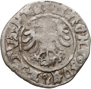 Alexander Jagiellonian 1501-1506, halber Pfennig ohne Datum, Vilnius