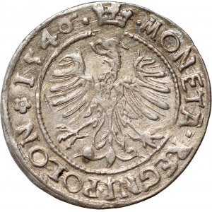 Zikmund I. Starý, penny 1546 ST, Krakov
