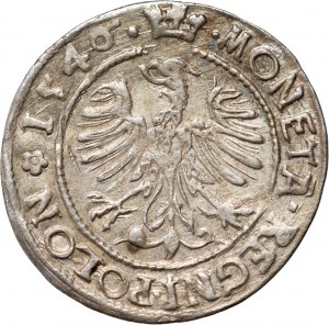 Žigmund I. Starý, penny 1546 ST, Krakov