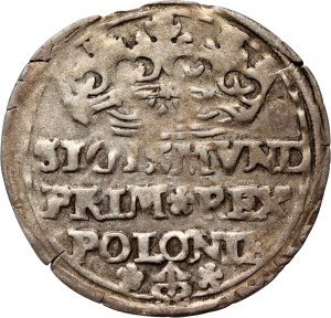 Sigismund I. der Alte, Pfennig 1527, Krakau