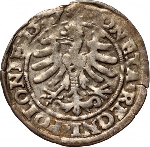 Sigismund I. der Alte, Pfennig 1527, Krakau