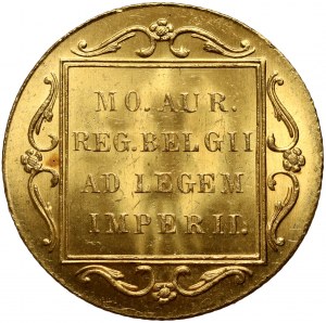 Paesi Bassi, Guglielmina, ducato 1928