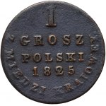 Królestwo Kongresowe, Aleksander I, grosz z miedzi krajowej 1825 IB, Warszawa - szeroka korona