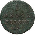 Królestwo Kongresowe, Mikołaj I, 1 grosz polski 1831 KG, Warszawa