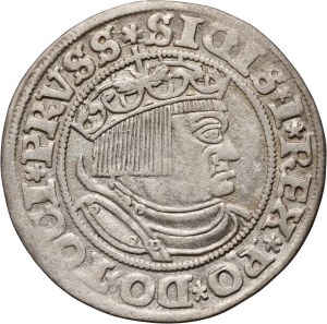 Sigismund I. der Alte, Pfennig 1532, Toruń